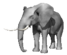 animated.elephant.gif